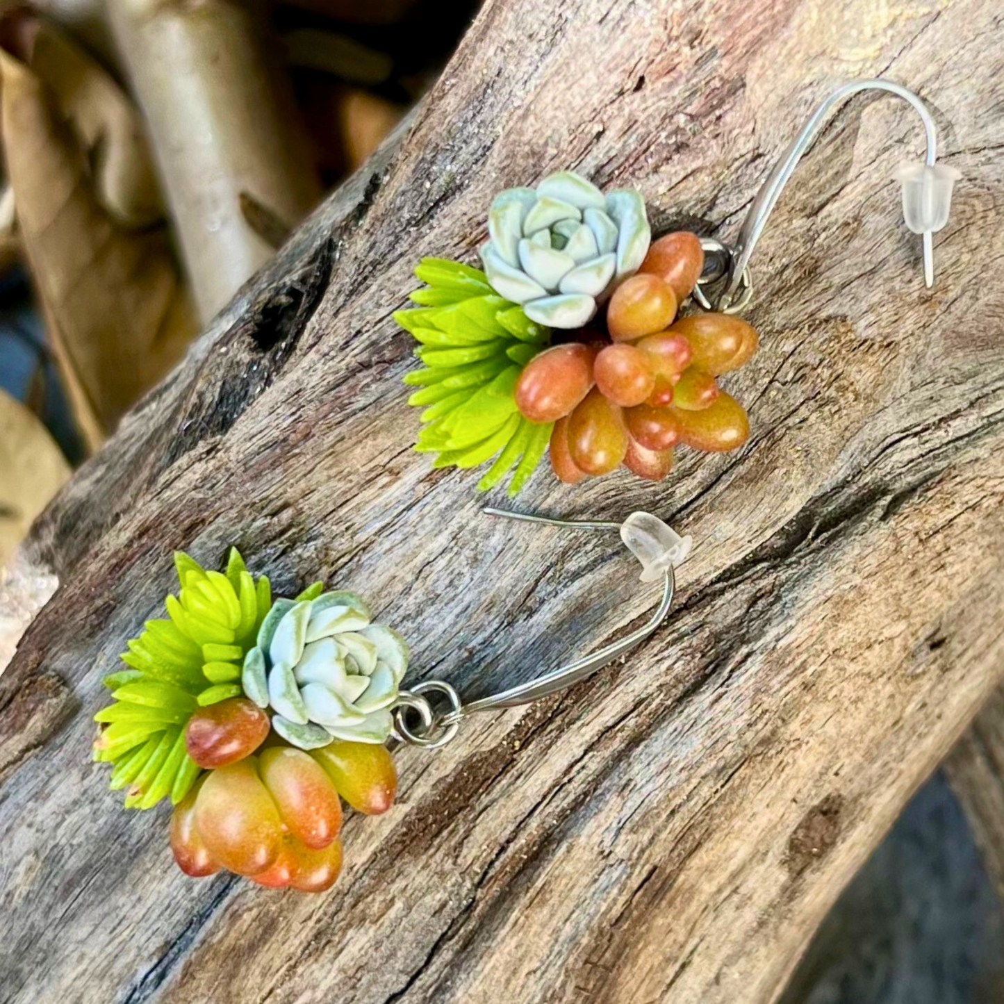 Living Succulent Dangle Earrings