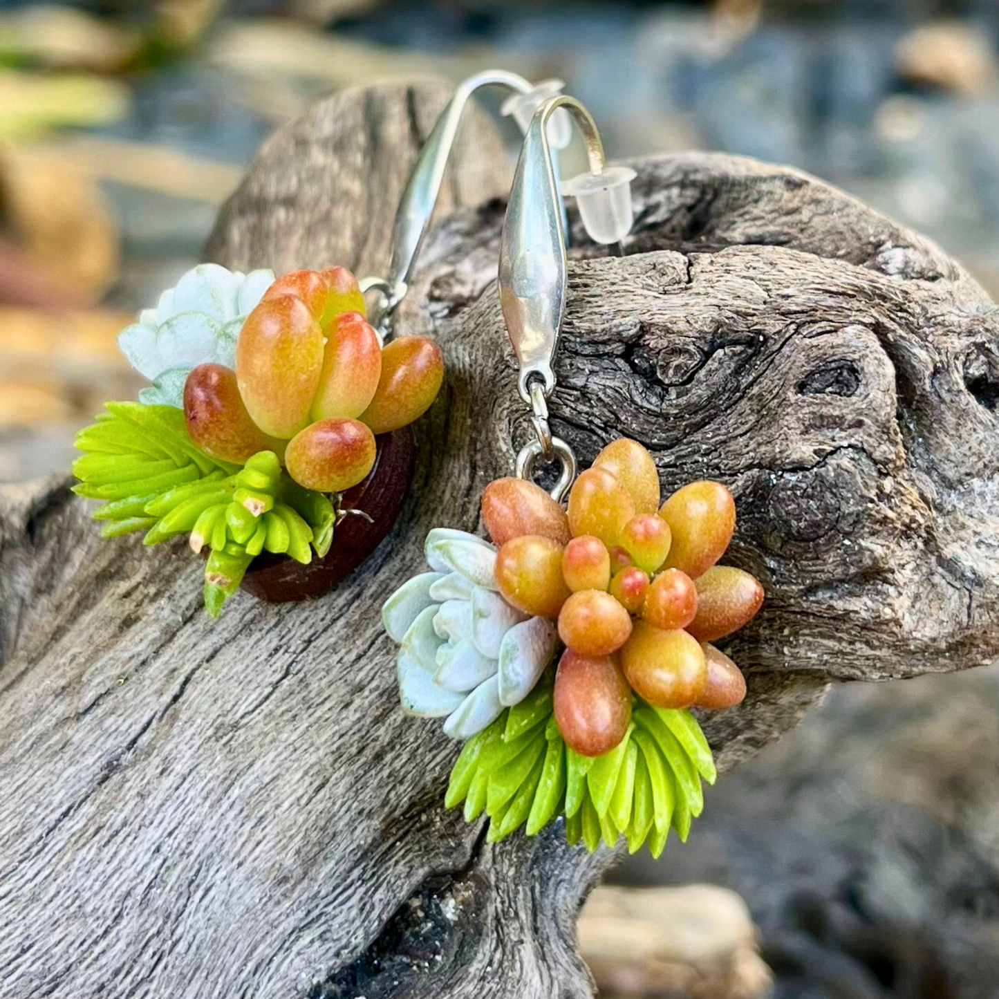Living Succulent Dangle Earrings