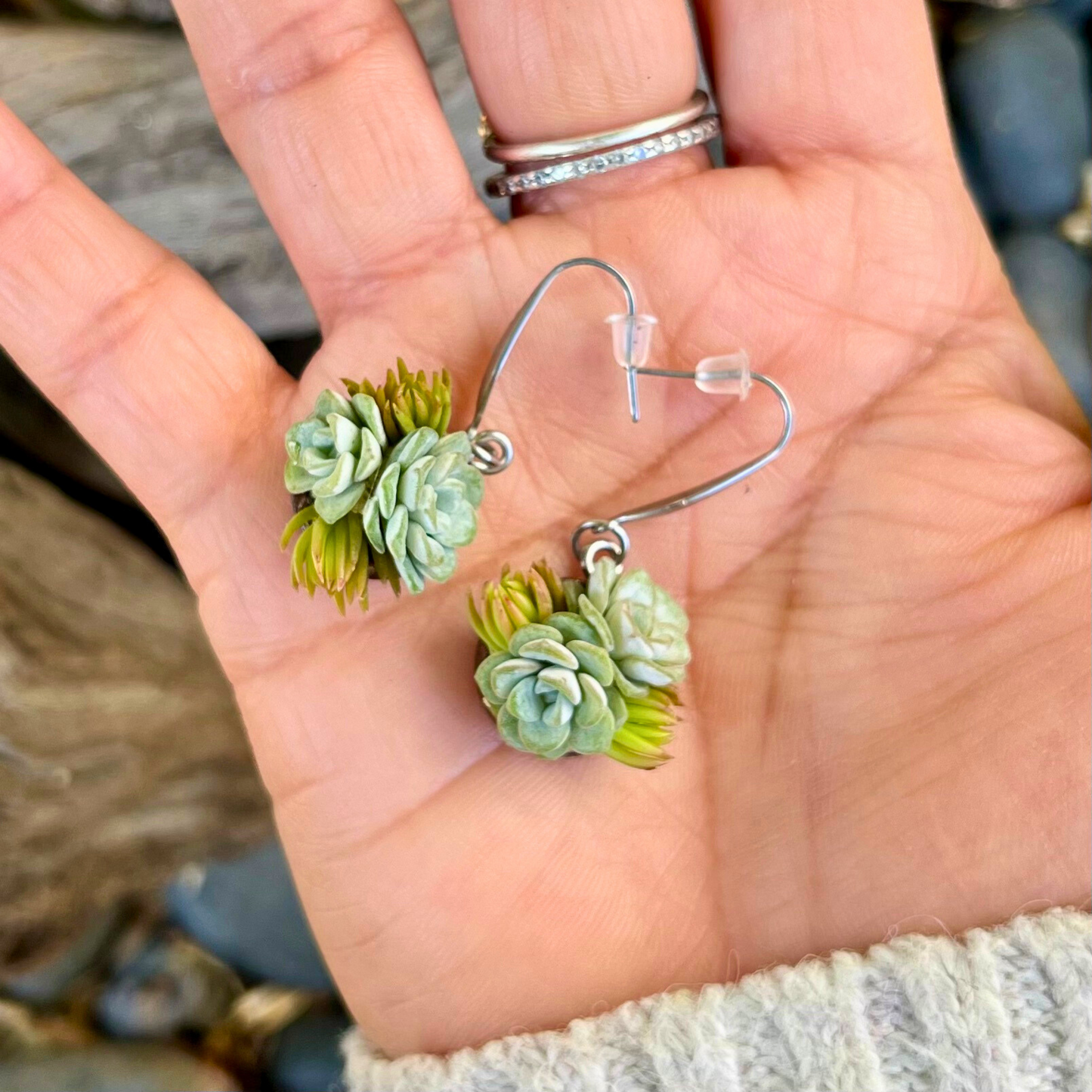 Living Succulent Dangle Earrings