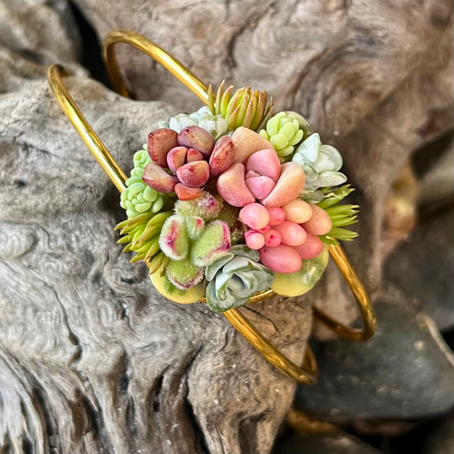 Living Succulent Adjustable Dainty Bracelet