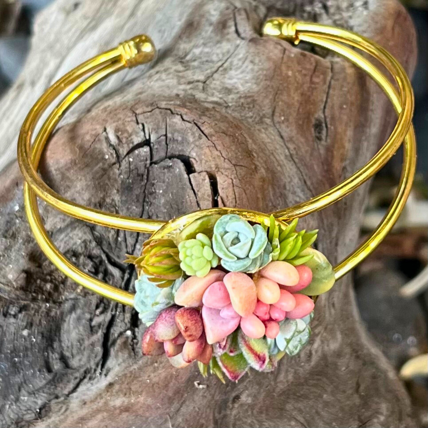 Living Succulent Adjustable Dainty Bracelet