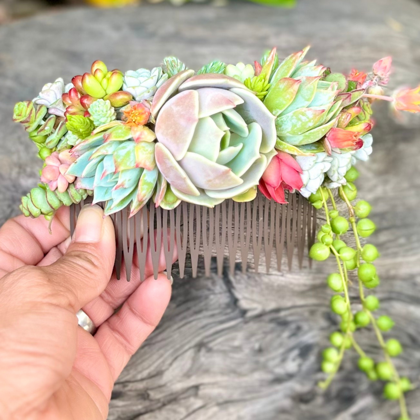 Living Succulent Hair Comb Clip