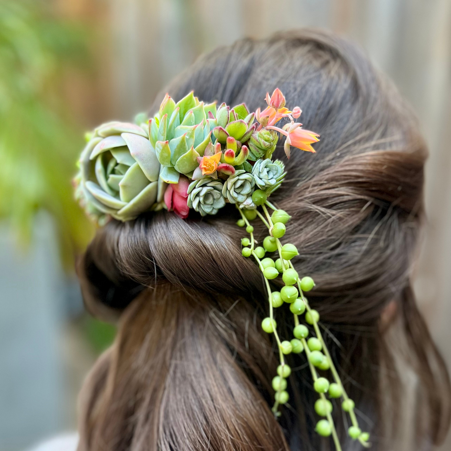 Living Succulent Hair Comb Clip