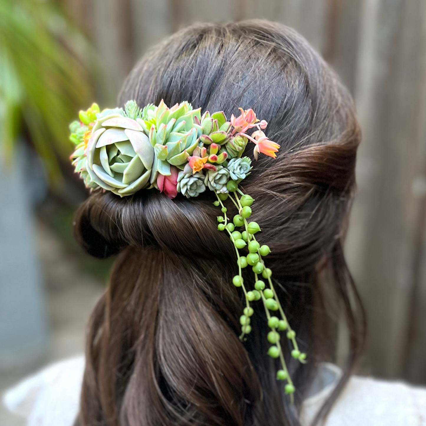 Living Succulent Hair Comb Clip
