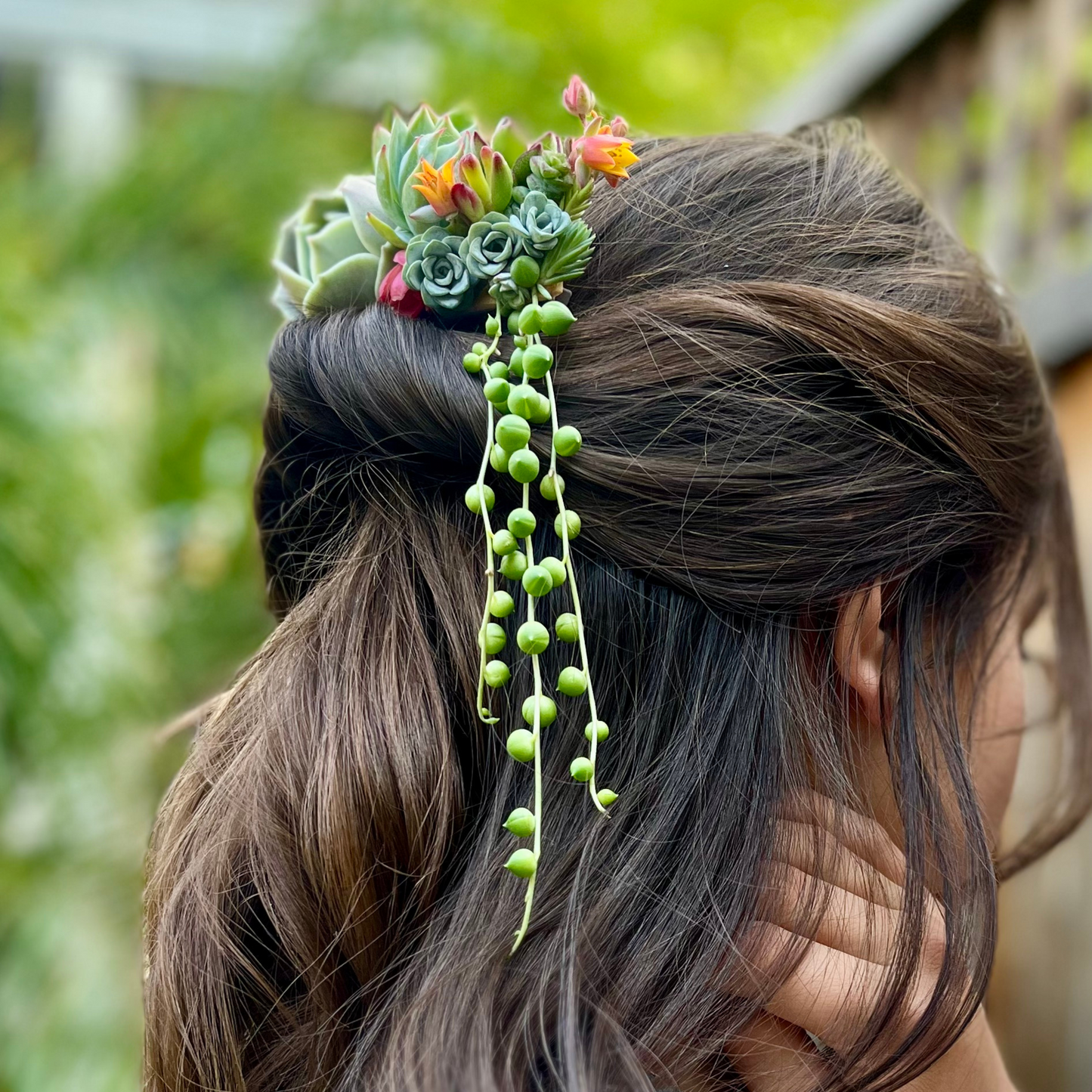 Living Succulent Hair Comb Clip