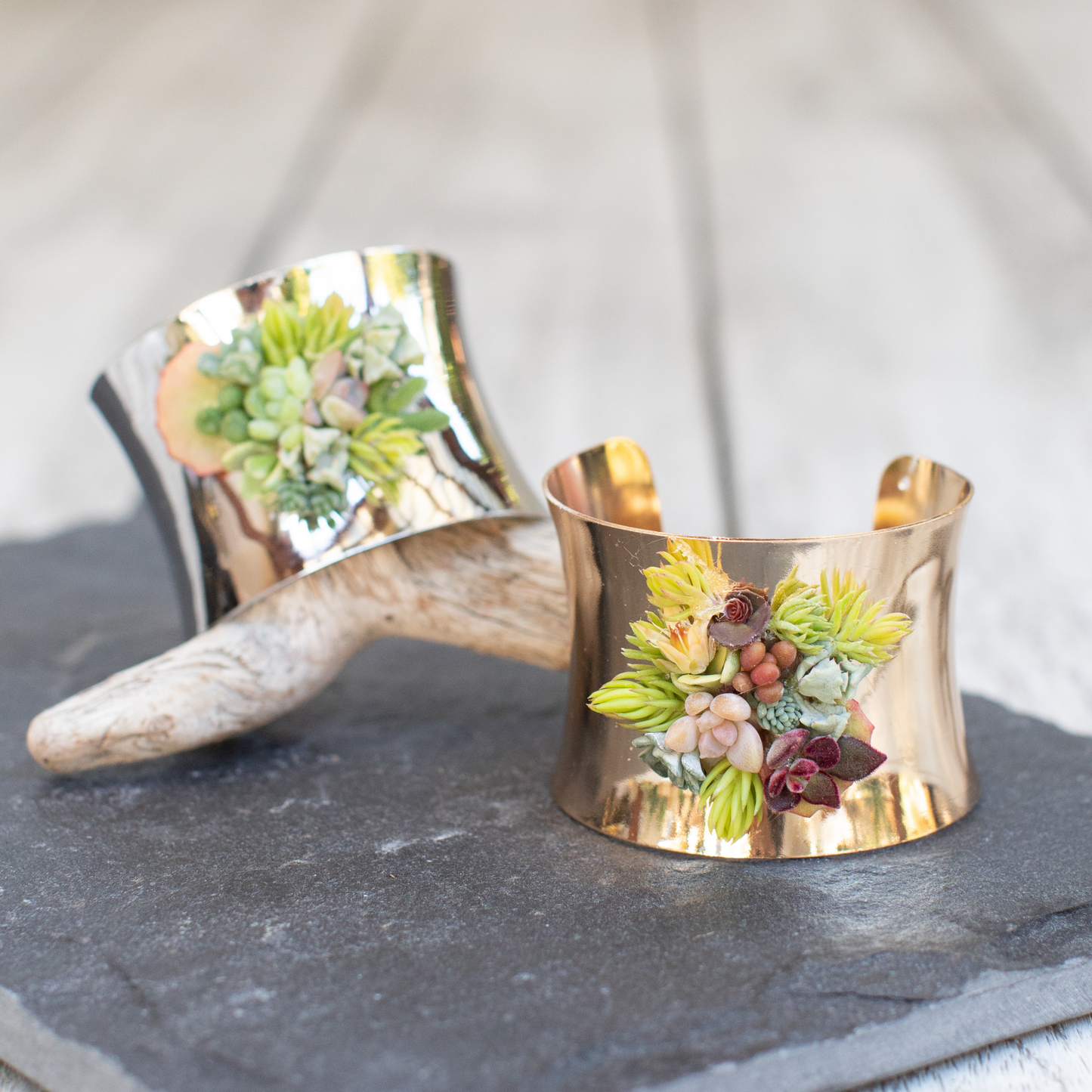 Living Succulent Adjustable Cuff Bracelet