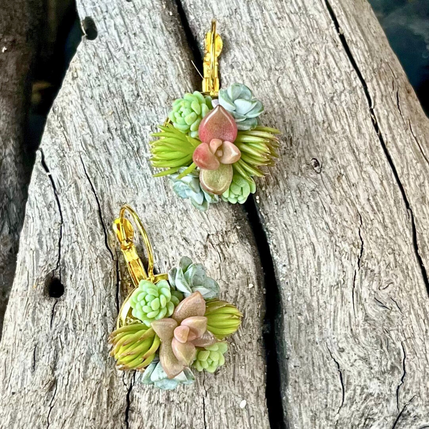Living Succulent Dainty Drop Earrings