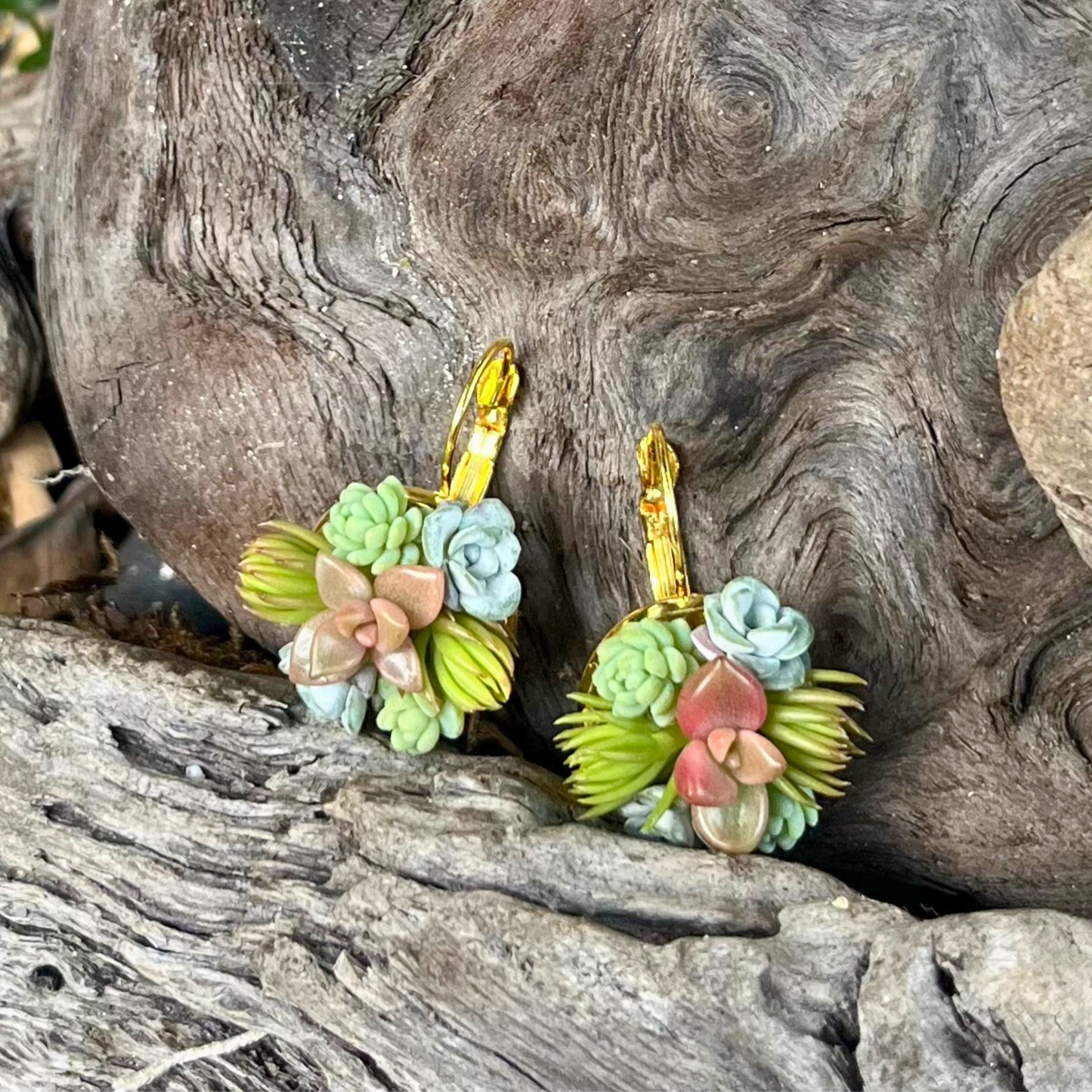 Living Succulent Dainty Drop Earrings