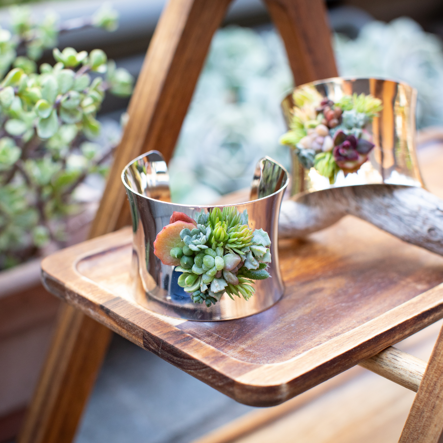 Living Succulent Adjustable Cuff Bracelet