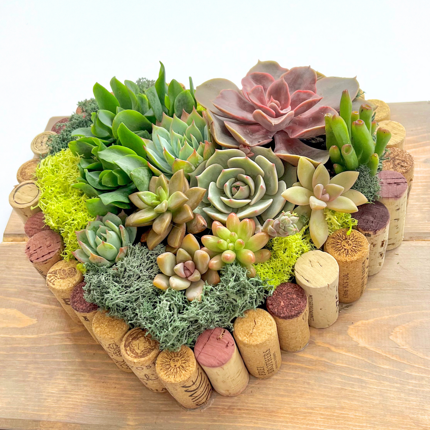 12"x12" Living Heart Wall Planter