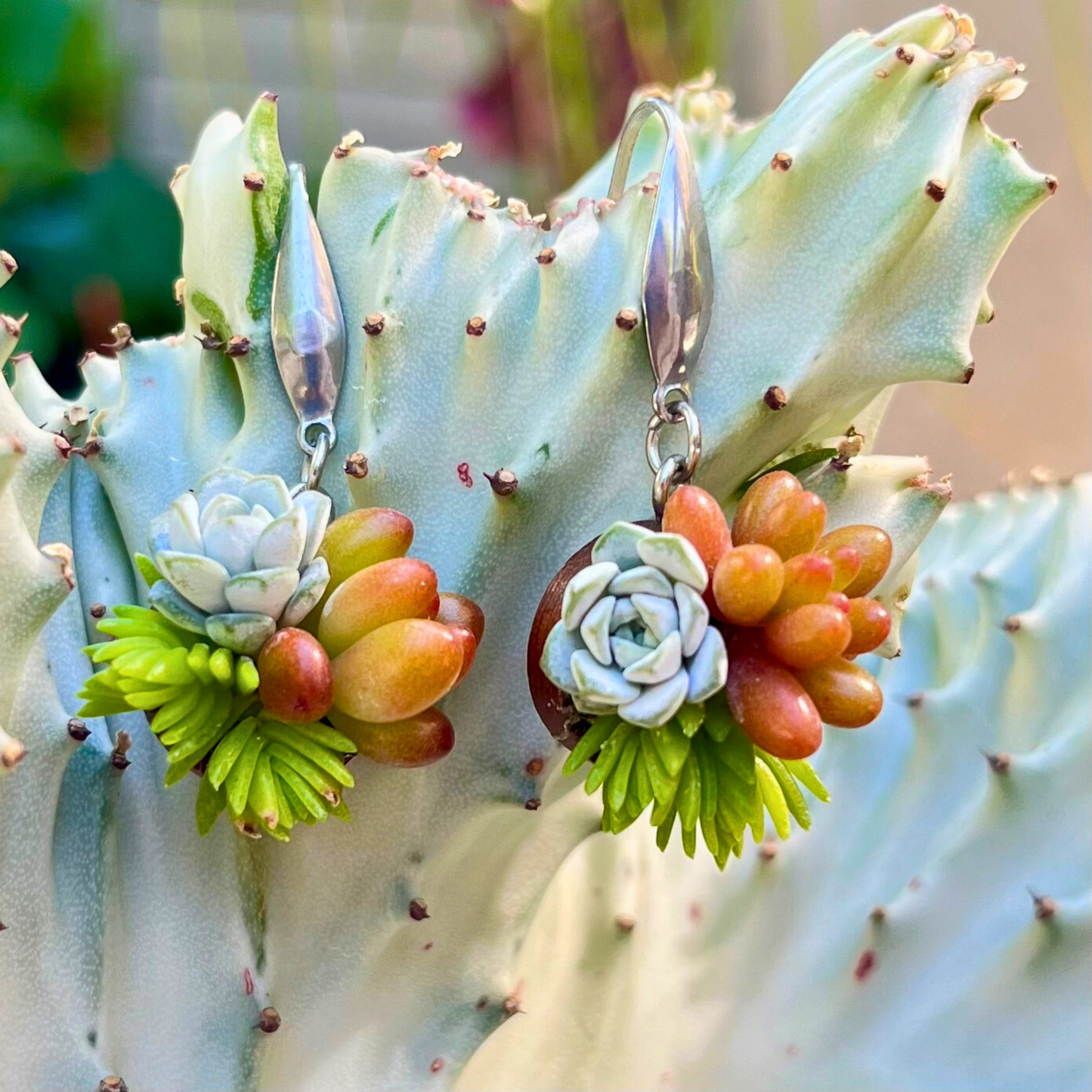 Living Succulent Dangle Earrings