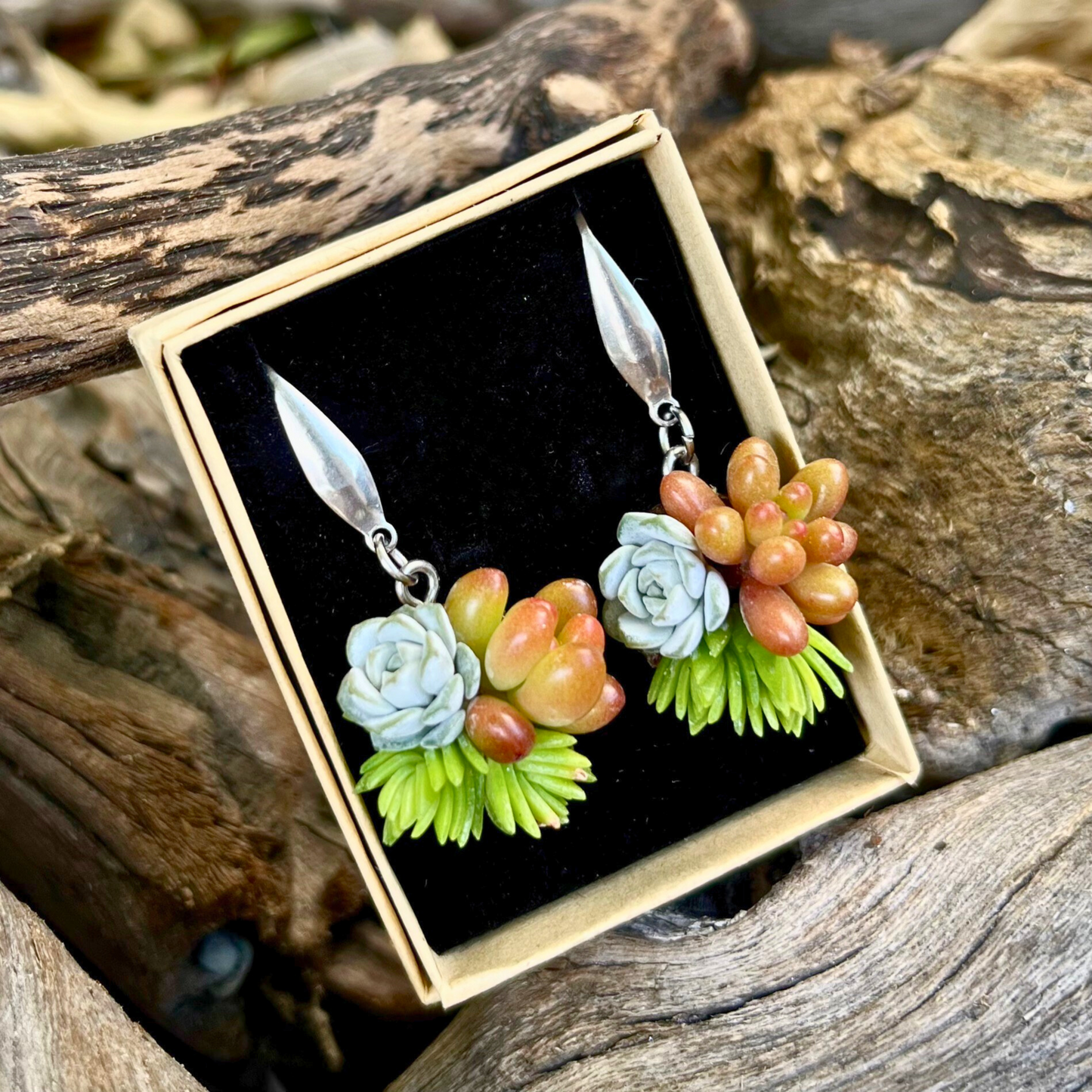 Living Succulent Dangle Earrings