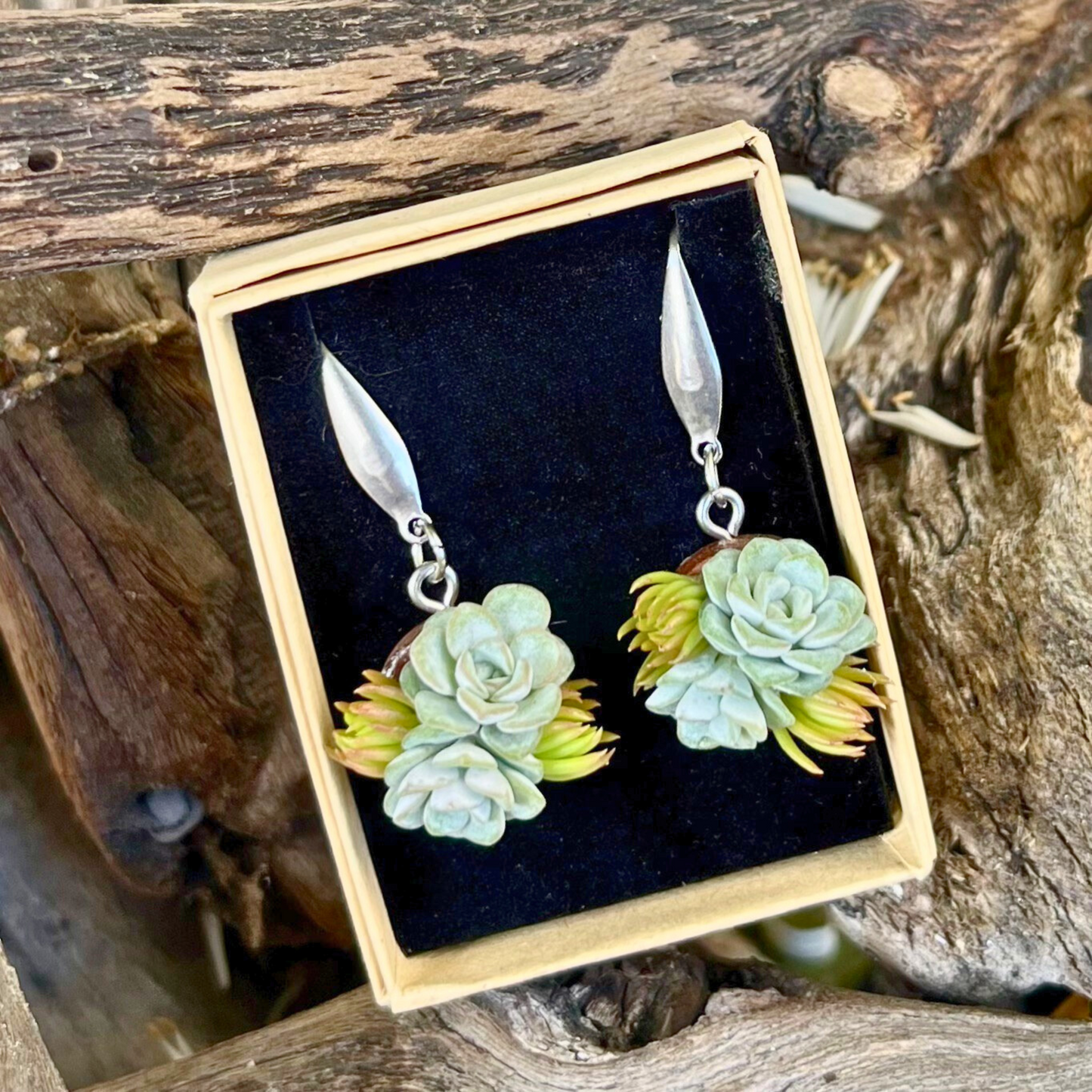 Living Succulent Dangle Earrings