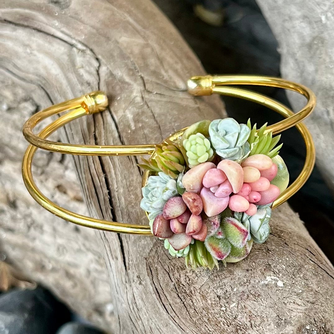 Living Succulent Adjustable Dainty Bracelet