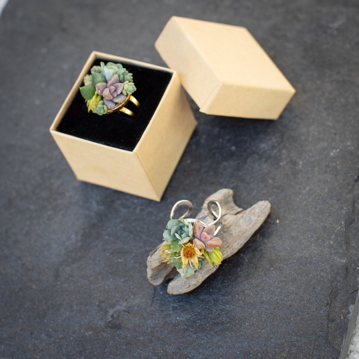 Living Succulent Adjustable Ring