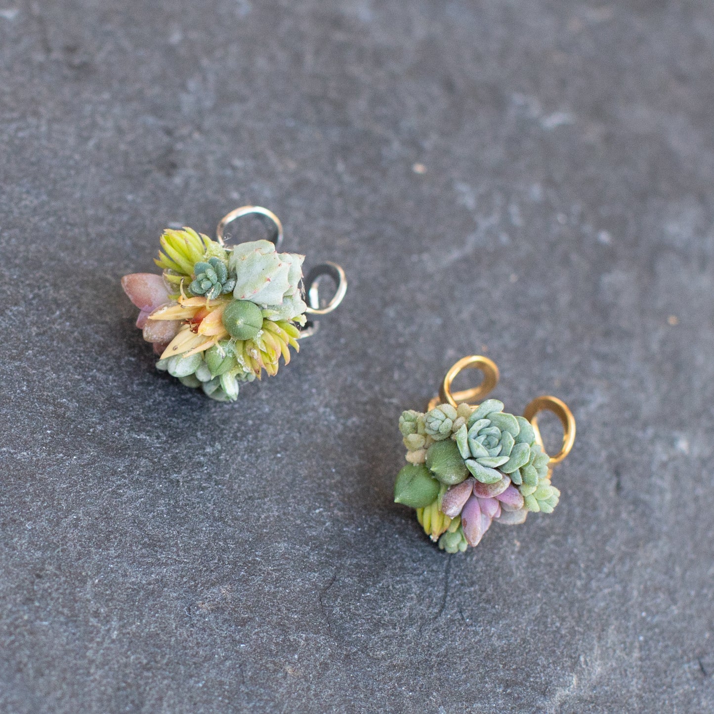 Living Succulent Adjustable Ring