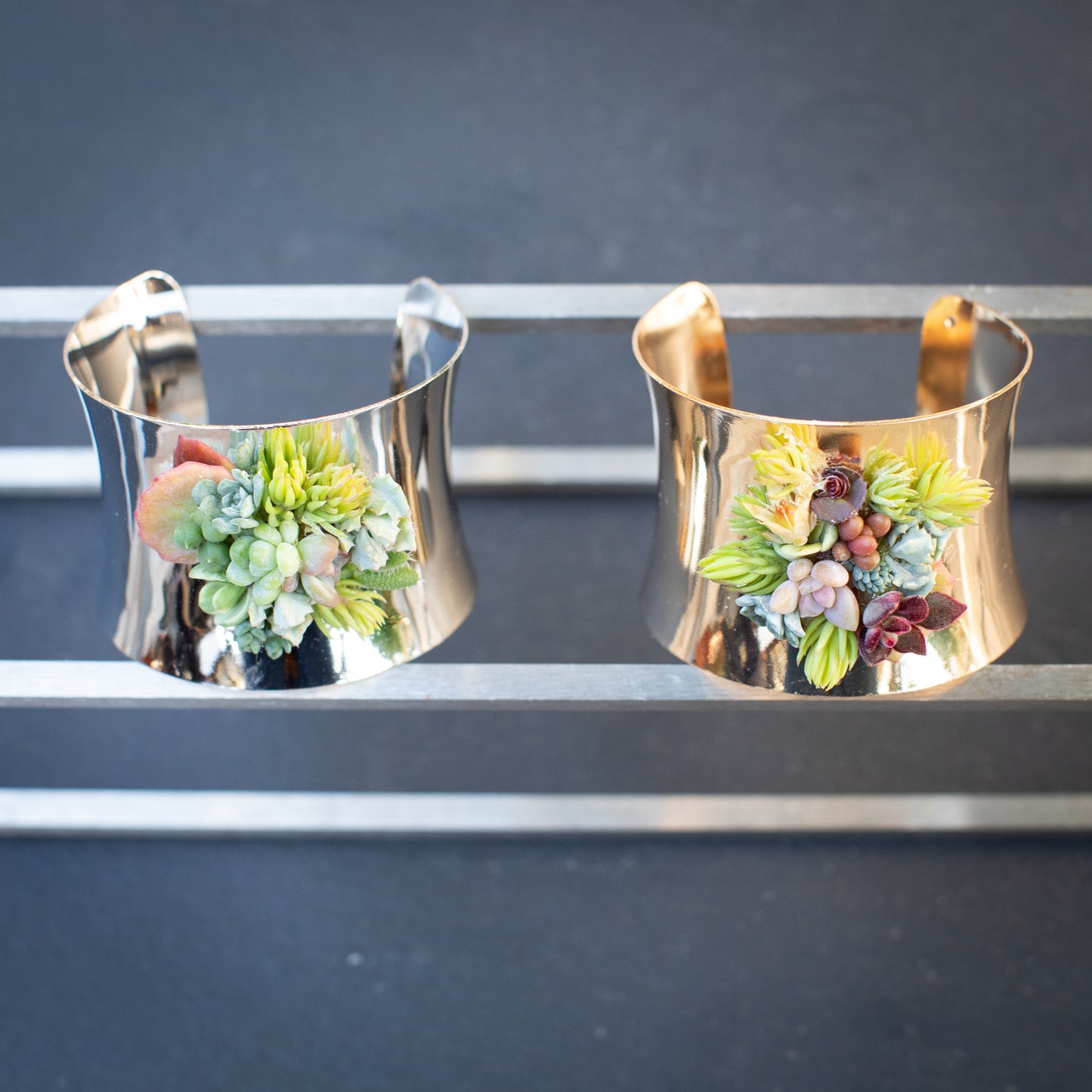 Living Succulent Adjustable Cuff Bracelet