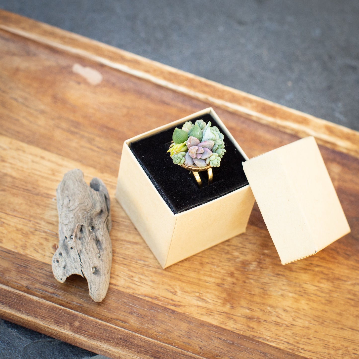 Living Succulent Adjustable Ring