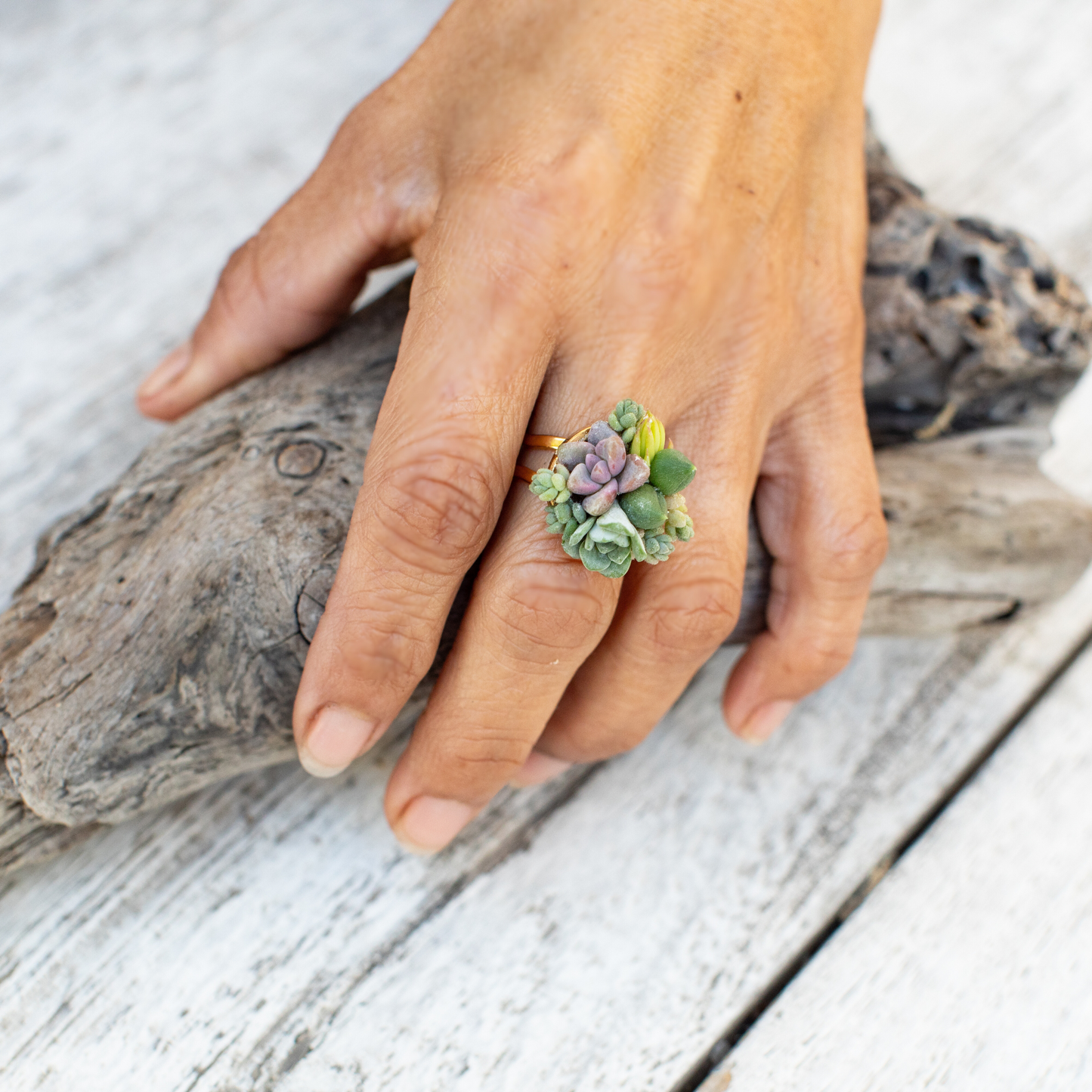 Living Succulent Adjustable Ring